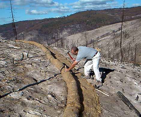 Degradable Sediment Control