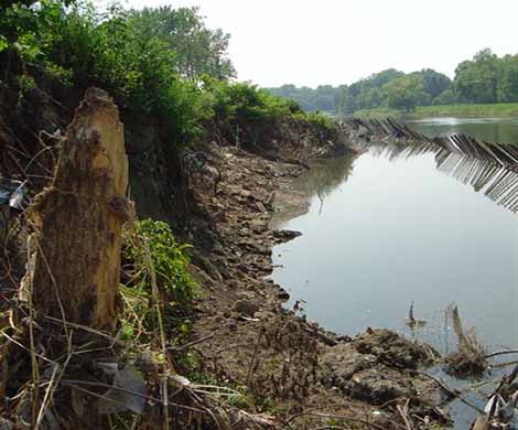 Shoreline Erosion Control 