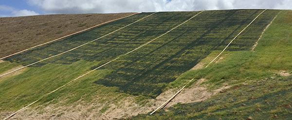 Channel Linings Erosion System