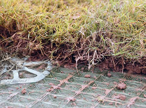Anchor Reinforced Vegetated System