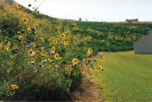 Erosion Applications